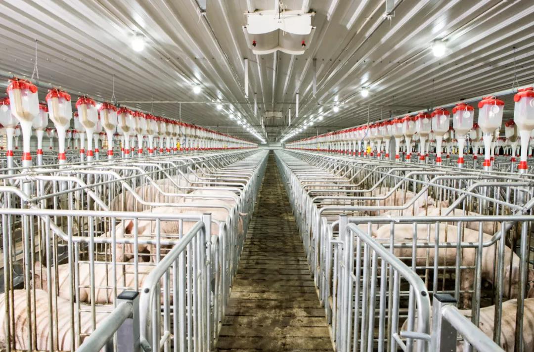 2121�Ƿ���(�й���)�����ٷ���վ