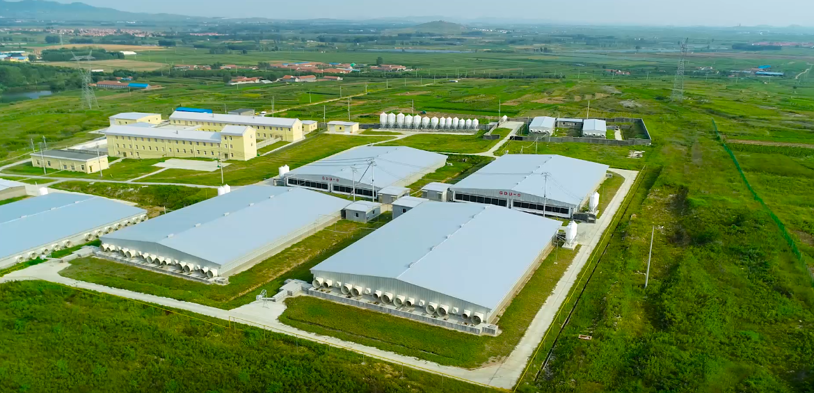 2121�Ƿ���(�й���)�����ٷ���վ