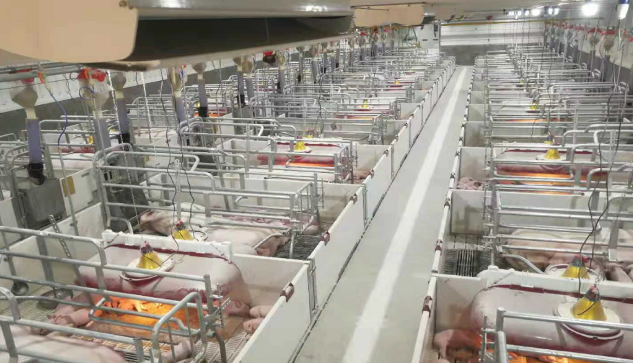 2121�Ƿ���(�й���)�����ٷ���վ