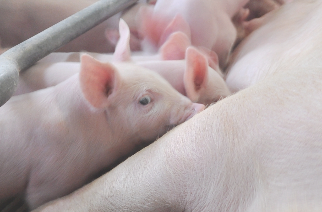 2121�Ƿ���(�й���)�����ٷ���վ