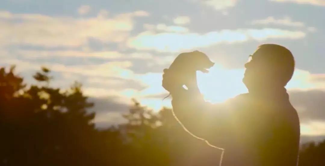 3.jpg 2121·Ç·²¡¤(ÖйúÓÎ)ÌåÓý¹Ù·½ÍøÕ¾