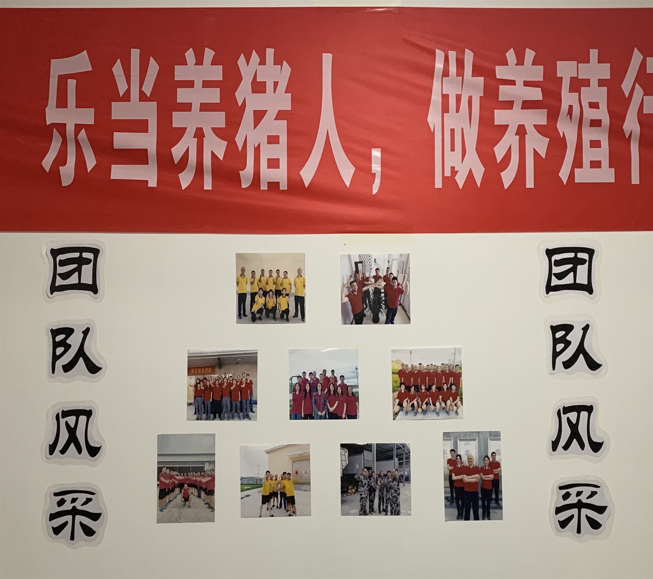 2121�Ƿ���(�й���)�����ٷ���վ