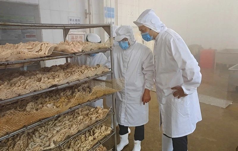 2121�Ƿ���(�й���)�����ٷ���վ